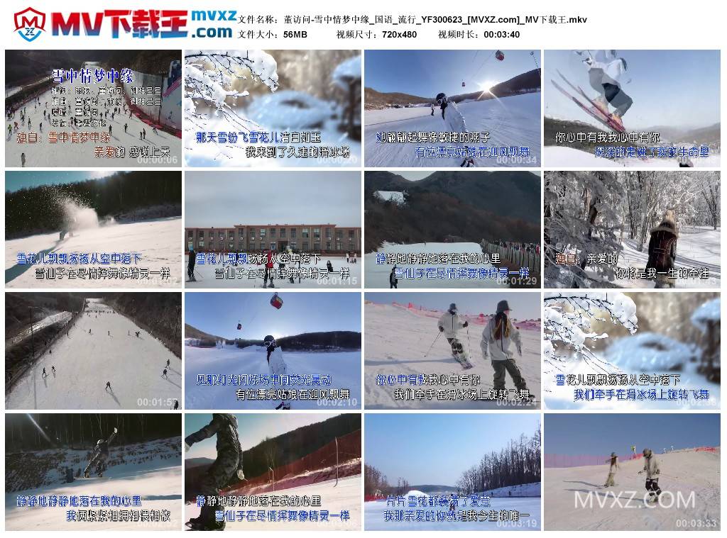 董访问-雪中情梦中缘_国语_流行_YF300623